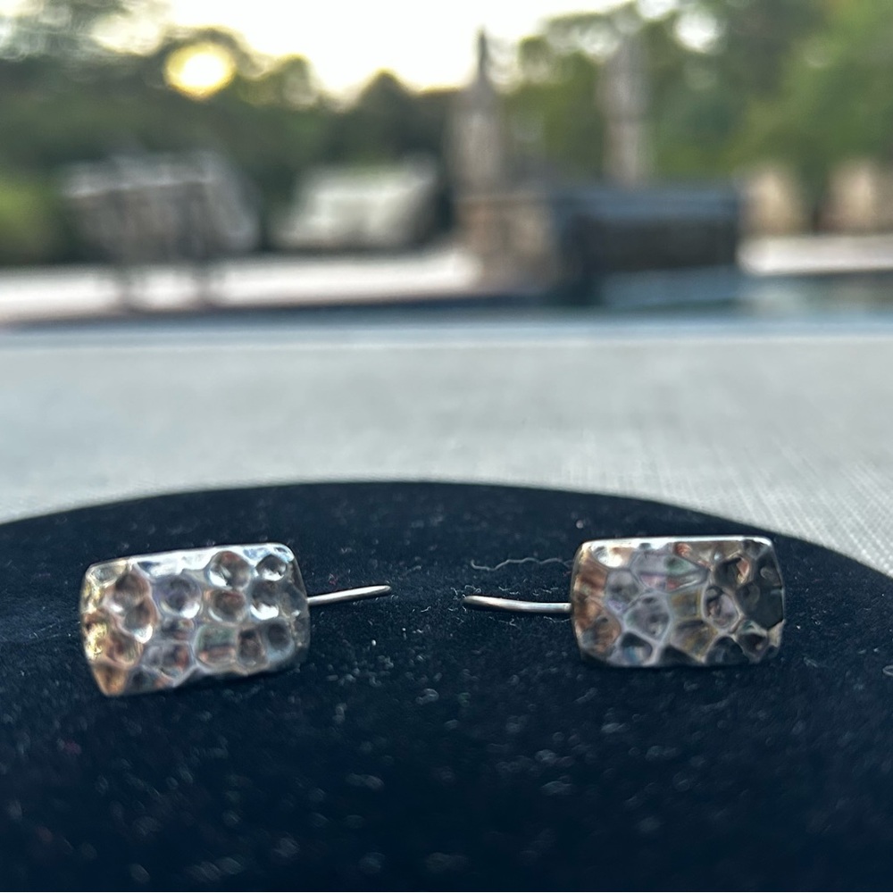 W0991 Curved Hammered Stainless Steel Earrings